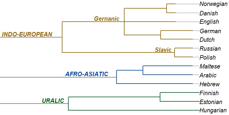 Language evolitionary tree